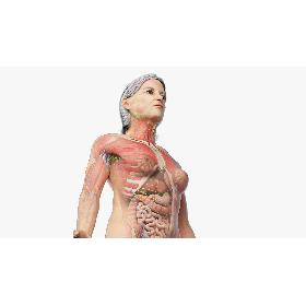 3D model Full Elder Female Anatomy